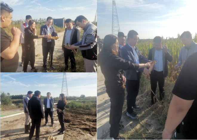 dfab7b8484dcdd0fbc61c4c0cc6ac7f1.png dfab7b8484dcdd0fbc61c4c0cc6ac7f1.png