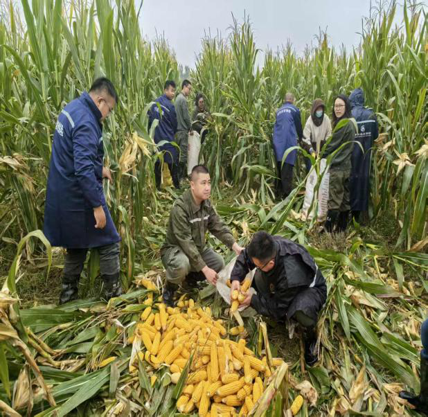 47364f3e4c5cdeac2d16562024a89451.png 47364f3e4c5cdeac2d16562024a89451.png