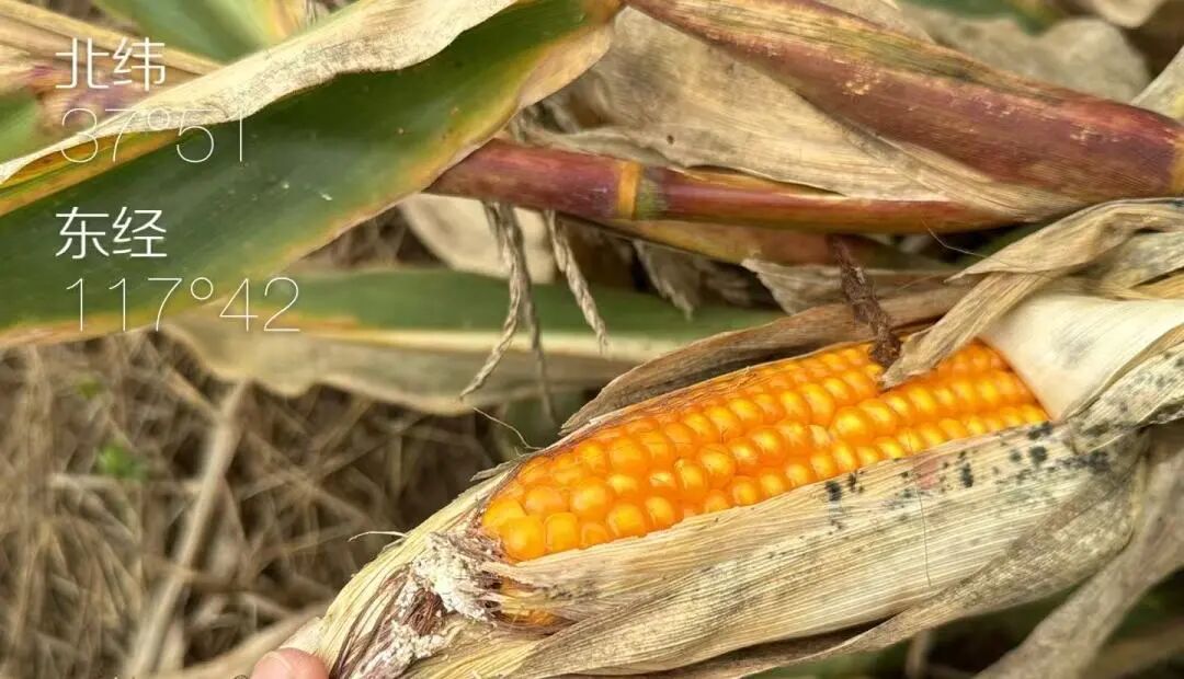 6c80c2d695a9ca20440eb1bec53e446f.jpg 6c80c2d695a9ca20440eb1bec53e446f.jpg