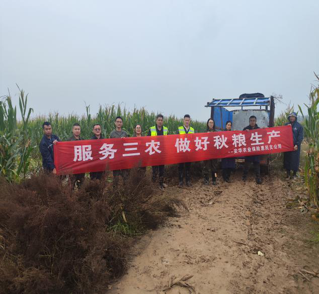 6d36eb7ab071a3faceabcf52ee83aeb3.png 6d36eb7ab071a3faceabcf52ee83aeb3.png