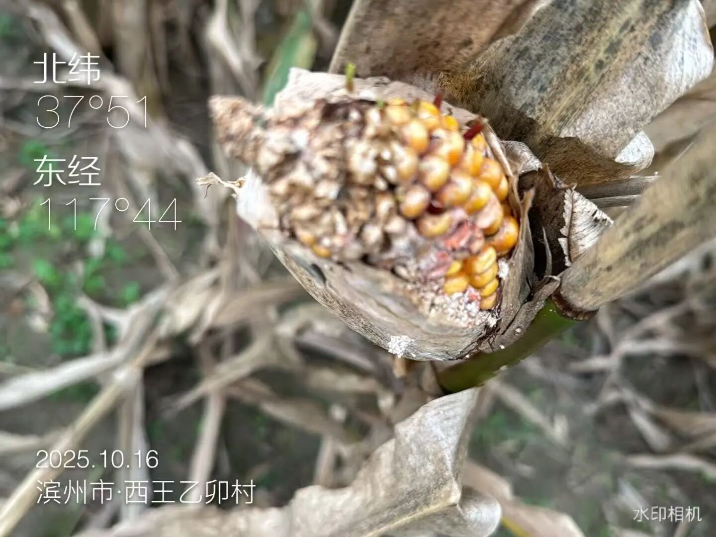 95bc9a63d0959131be2df28e47e29a41.jpg 95bc9a63d0959131be2df28e47e29a41.jpg