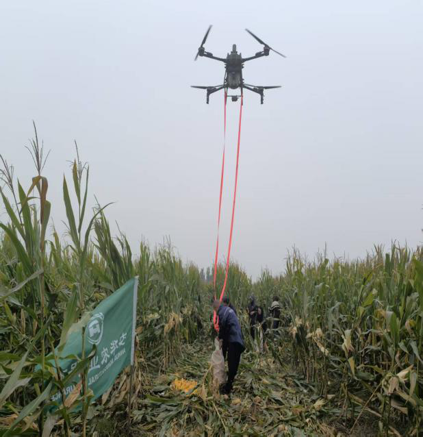 06a2d1c040208006bab19de0f044a698.png 06a2d1c040208006bab19de0f044a698.png