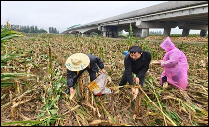 bfcb8933e7c3038f8667791f653e34ec.png bfcb8933e7c3038f8667791f653e34ec.png